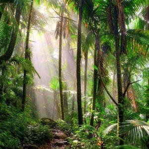 Meet your Posher, @littleape